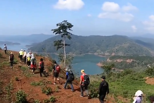 Khởi động hành trình phát triển doanh nghiệp sinh thái rừng