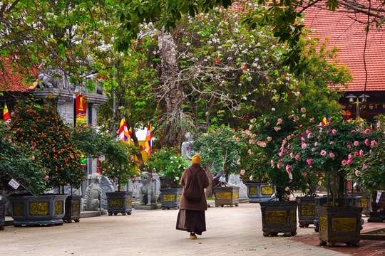 Không gian ngôi chùa đẹp lạ có nhiều cổ vật ở ngoại thành Hà Nội