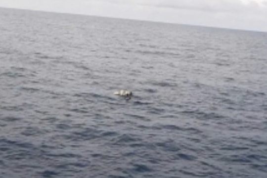 Phát hiện thi thể nghi là thuyền viên mất tích trong vụ chìm tàu cá tại Nghệ An