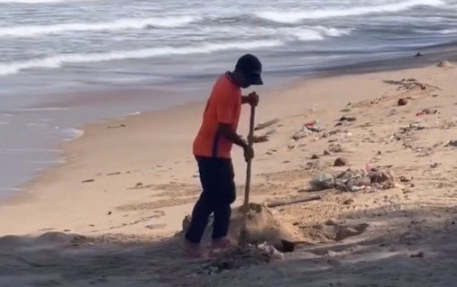 Xử phạt nhân viên khu du lịch chôn rác trên bãi biển Mũi Né