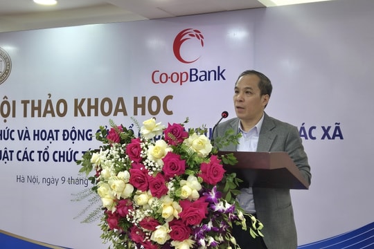 Nâng cao năng lực tài chính cho Ngân hàng Hợp tác xã là cần thiết, cấp bách