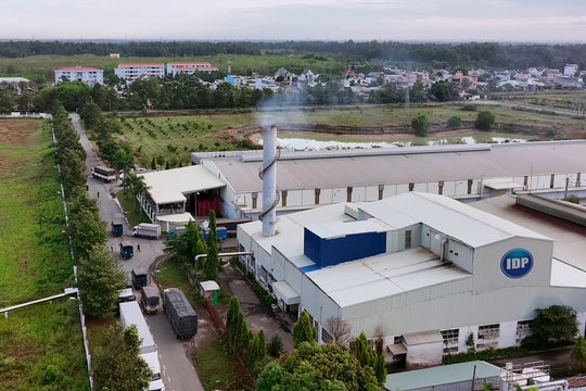 Lãnh đạo Sữa Quốc tế (IDP) thoái hết vốn cá nhân giữa lúc doanh nghiệp chuẩn bị mua lại cổ phiếu