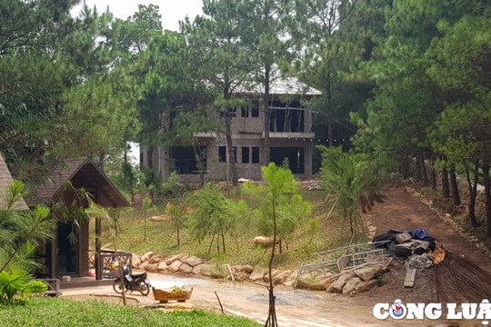 Hà Nội yêu cầu xác minh việc khai thác đất lâm nghiệp trái phép tại Sóc Sơn, Quốc Oai