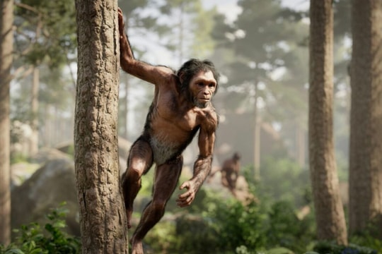 Tổ tiên của chúng ta chỉ cao một mét, là con mồi của loài báo