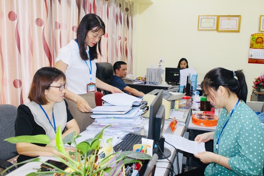 Chính phủ quy định trách nhiệm và quản lý nhà nước về tổ chức thi hành pháp luật