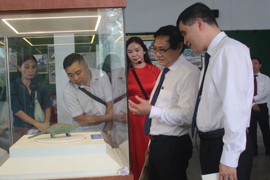 Tượng đồng tê tê Long Giao - đỉnh cao nghệ thuật luyện kim thời sơ kỳ đồ sắt