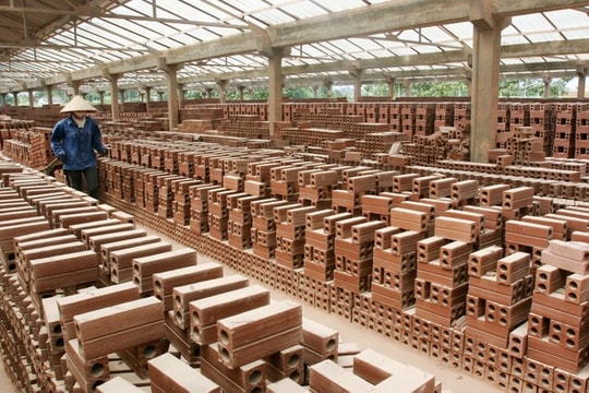 Công ty con đầu tiên trong hệ sinh thái Viglacera (VCG) báo lỗ tại Quý I/2025