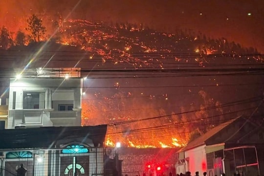 Phó Thủ tướng Trần Hồng Hà chỉ đạo điều tra làm rõ nguyên nhân cháy rừng ở Quảng Ninh