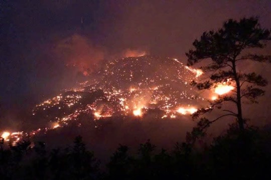 Quảng Ninh: Xác định nguyên nhân 2 vụ cháy rừng tại 2 địa phương