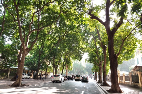 Dự báo thời tiết ngày 14/4: Hà Nội trời lạnh, trưa chiều hửng nắng