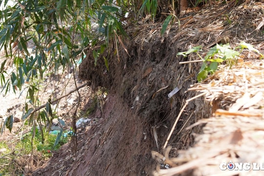 Hà Nội công bố tình huống khẩn cấp sạt lở bờ sông Đuống