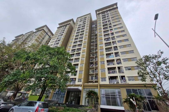 HoREA: Quỹ phát triển nhà ở quốc gia có thể nghiên cứu từ mô hình của Hà Nội và TP HCM