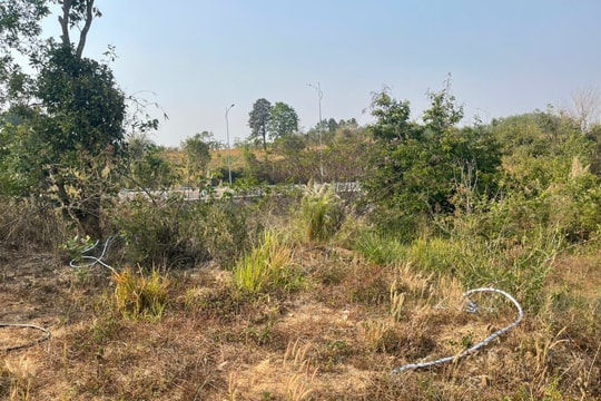 Kon Tum: Kẻ gian liên tiếp cắt trộm dây dẫn điện chiếu sáng, thiệt hại hơn 2,8 tỷ đồng