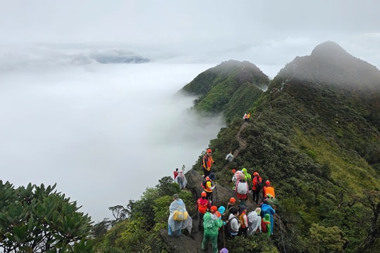 Một nhà báo chinh phục đỉnh Tà Xùa cao trên 2800m trong 2 giờ 15 phút