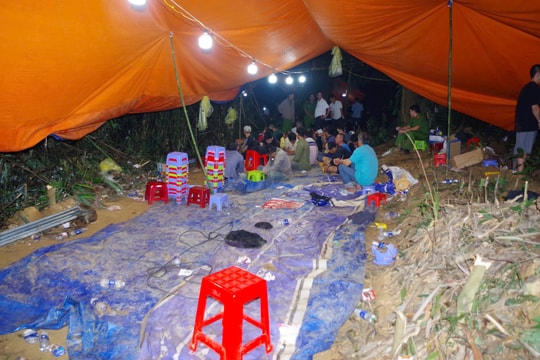 Triệt phá sới bạc khủng giữa rừng, bắt giữ 36 đối tượng