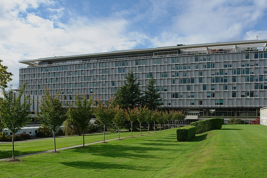 WHO: Ít nhất 70 quốc gia bị ảnh hưởng nặng vì Mỹ cắt tài trợ y tế