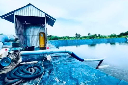 Nguy cơ nhiễm độc từ việc vận chuyển và sử dụng khí Clo trong dân?