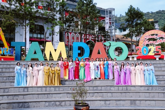 Hoa hậu Doanh nhân Việt Nam Toàn cầu 2025: Thí sinh thướt tha giữa trời mây Tam Đảo