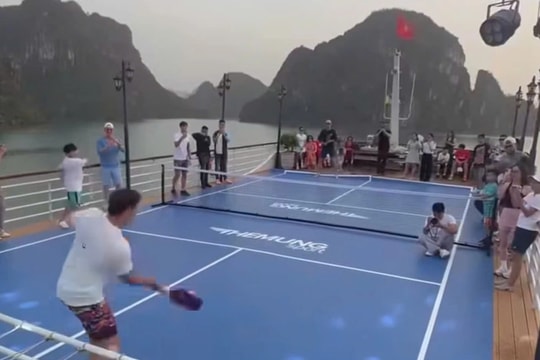 Xử phạt chủ tàu để khách chơi pickleball trên boong khi tham quan vịnh Hạ Long