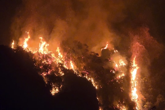 Khống chế thành công đám cháy rừng ở Hà Nam