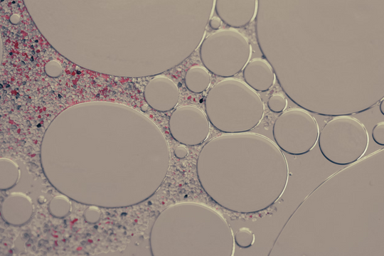 ‏Nhật Bản sắp có bước đột phá y học với tế bào gốc đa năng‏