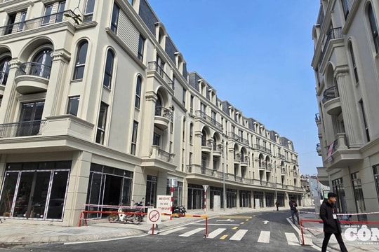 Hải Phòng: Phạt chủ đầu tư, nhà thầu thi công Dự án nhà ở thương mại 444 Chợ Hàng 135 triệu đồng