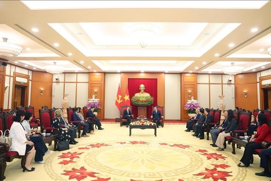 Cận cảnh dàn xe điện đưa đón khách VIP tại Hội nghị Thượng đỉnh P4G