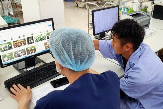 Cặp vợ chồng trẻ hôn mê sâu có nguy cơ tử vong cao do ăn nấm rừng