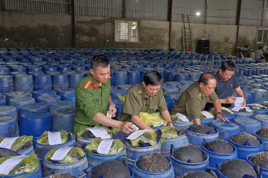 Phát hiện 4 cơ sở “tuồn” 3.500 tấn giá đỗ ngâm chất cấm ra thị trường