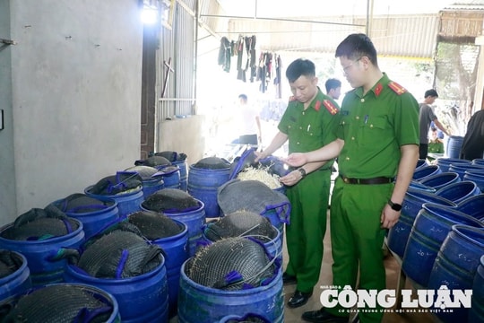 Nghệ An: Phát hiện cơ sở sản xuất 3.500 tấn giá đỗ ngâm hóa chất