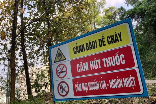 Trời nắng nóng kéo dài, Lào Cai chỉ đạo khẩn phòng chống cháy rừng