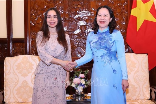 Phó Chủ tịch nước Võ Thị Ánh Xuân tiếp Phó Chủ tịch Quỹ Heydar Aliyev