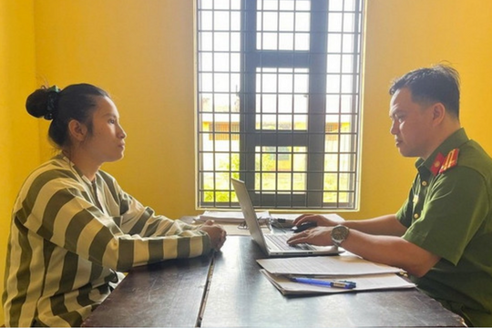 Phá đường dây môi giới mại dâm lớn, cung cấp cả gái bán dâm dưới 18 tuổi