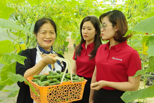 Dòng vốn ưu đãi 50.000 tỷ đồng từ Agribank: Tiếp sức sản xuất, đồng hành cùng triệu hộ kinh doanh