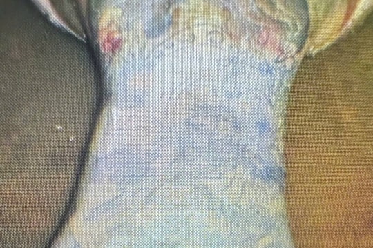 Một tử thi đang phân hủy vừa được phát hiện ở Đà Nẵng