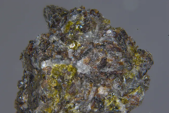 Trung Quốc cho các trường đại học Mỹ mượn đá Mặt trăng