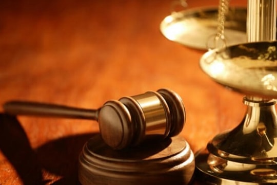 Công ty CP Tổng hợp thế giới xanh bị phạt 85 triệu đồng