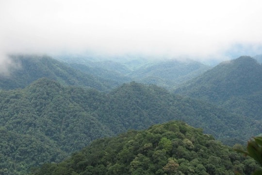 Khu bảo tồn thiên nhiên Xuân Liên trở thành vườn quốc gia thứ 35 cả nước