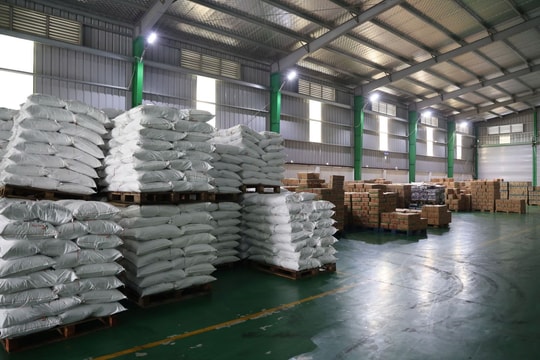 Đột kích kho hàng của Công ty Famimoto Việt Nam, phát hiện 71 nghìn lít dầu ăn và hàng chục tấn mì chính, hạt nêm giả