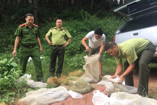 Lạng Sơn: Đẩy mạnh thực thi pháp luật về bảo tồn đa dạng sinh học