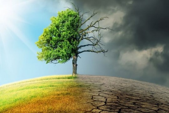 Hà Nội triển khai kế hoạch bảo vệ môi trường biến đổi khí hậu