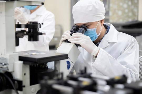 Chính phủ ban hành quy định mới về chế độ, chính sách đối với chuyên gia cao cấp