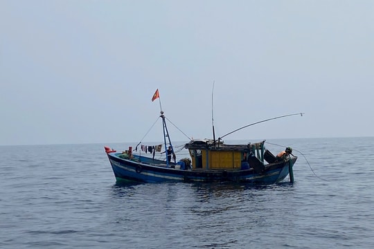 Quảng Trị: Phát hiện và bắt giữ 2 tàu đánh bắt thủy sản trái phép