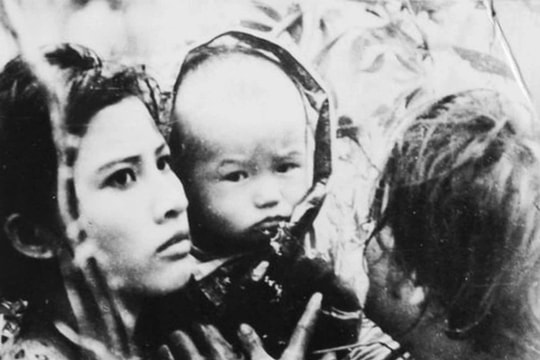 Chiếu miễn phí loạt phim về đề tài chiến tranh tại liên hoan phim DANAFF III