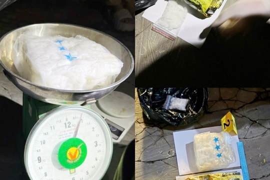 Dùng ô tô vận chuyển ma túy, định phi tang nhưng bất thành