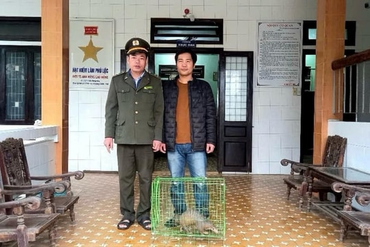 TP.Huế: Người dân tự nguyện giao cá thể động vật quý hiếm