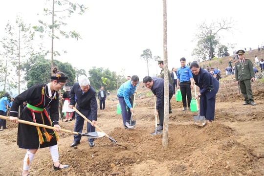 Trung ương Đoàn phát động Tết trồng cây Xuân Ất Tỵ 2025