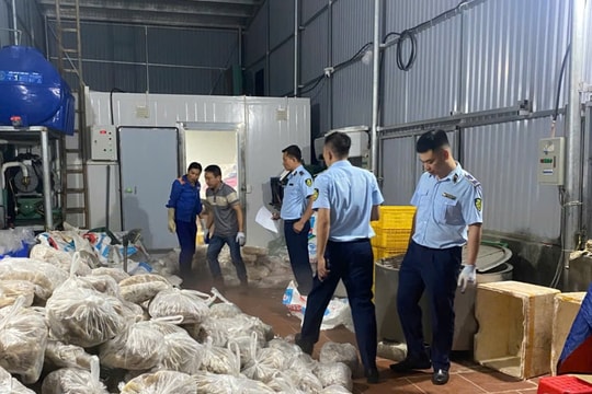 Hà Nội: Phát hiện 11 tấn thịt và nội tạng bò bốc mùi chuẩn bị ‘tuồn’ ra thị trường