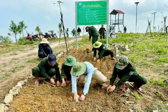 Trồng hơn 10.000 cây hoa trên đỉnh núi Hòn Vượn, nâng cao nhận thức về ý nghĩa của việc trồng cây bảo vệ môi trường