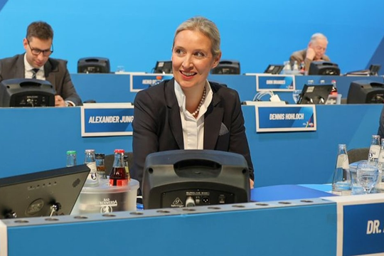 Đức xếp đảng cực hữu AfD vào diện tổ chức cực đoan